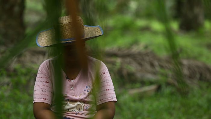 Vrouwelijke arbeider op een Indonesische palmolieplantage.