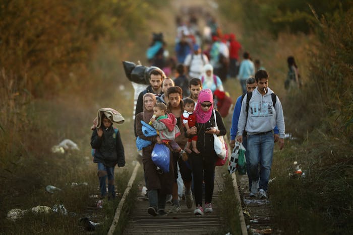Migranten zijn in Servië op weg naar een gat in het grenshek met Hongarije