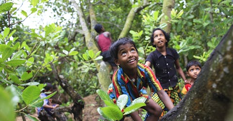 Kinderen in India