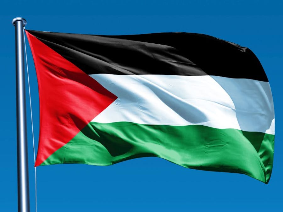 Palestijnse vlag