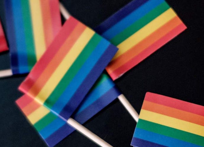 Conversietherapie (ook genoemd reparatietherapie, homotherapie, homogenezing) is een aanpak waarmee met psychologische middelen wordt geprobeerd iemands homoseksuele of biseksuele oriëntatie te veranderen in een heteroseksuele.