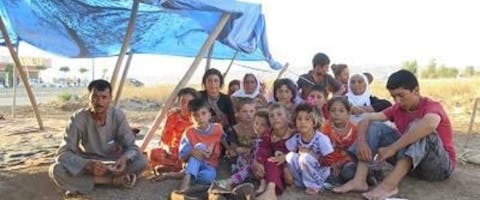 Ontheemde Yezidi die het Sjinjargeberte ontvluchtten
