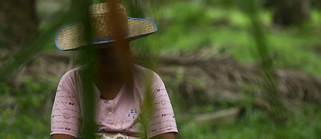 Arbeidster op een palmolieplantage in Indonesië. In 2016 onthulde Amnesty dat mensenrechtenschendingen op dergelijke plantages op grote schaal voorkomen.