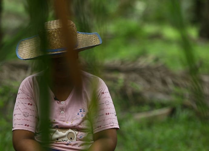 Arbeidster op een palmolieplantage in Indonesië. In 2016 onthulde Amnesty dat mensenrechtenschendingen op dergelijke plantages op grote schaal voorkomen.