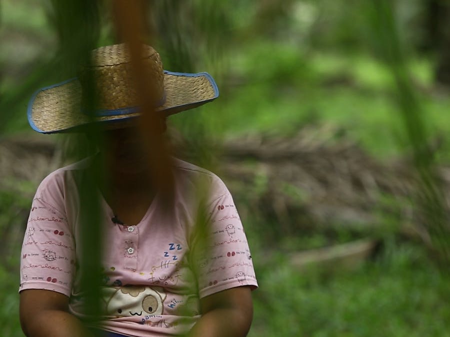 Arbeidster op een palmolieplantage in Indonesië. In 2016 onthulde Amnesty dat mensenrechtenschendingen op dergelijke plantages op grote schaal voorkomen.