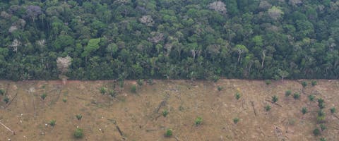 Illegale ontbossing in gebied van de inheemse Uru-Eu-Wau-Wau in Brazilie
