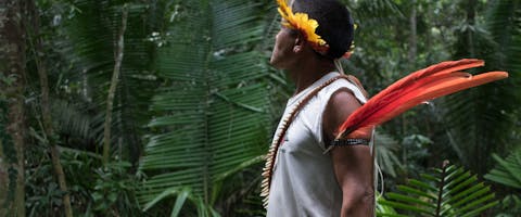 Een inheemse man patrouilleert in de Amazone om illegale landroof te voorkomen