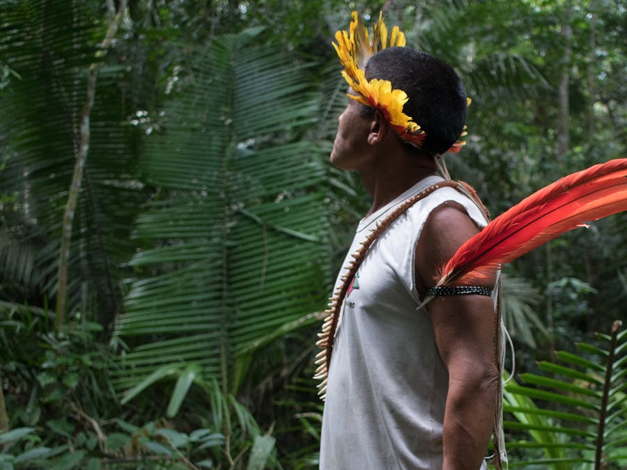 Een inheemse man patrouilleert in de Amazone om illegale landroof te voorkomen
