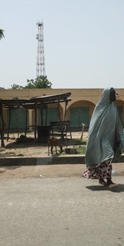 Het Nigeriaanse leger heeft hele dorpen verbrand als antwoord op het toenemend aantal aanvallen van de gewapende groepering Boko Haram.