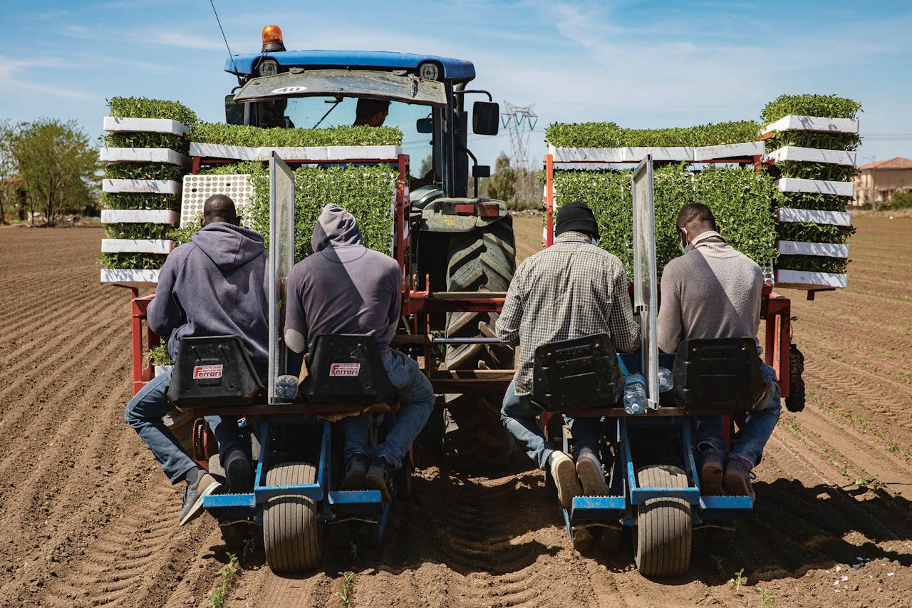 Seizoensarbeiders op een tractor. Tussen hen in een paneel tegen de verspreiding van het virus.