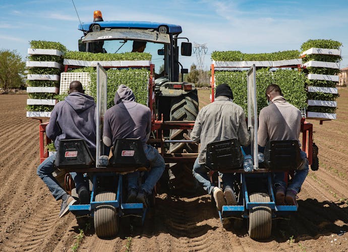 Seizoensarbeiders op een tractor. Tussen hen in een paneel tegen de verspreiding van het virus.