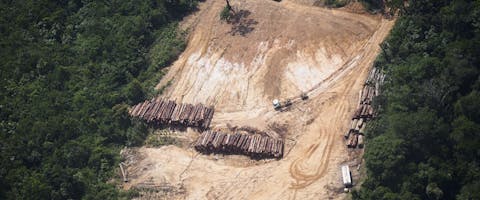 BRAZIL-GREENPEACE-TIMBER-ILLEGAL-FELLING Door massale houtkap in Brazilië zijn er minder bomen die CO2 uit de atmosfeer kunnen halen