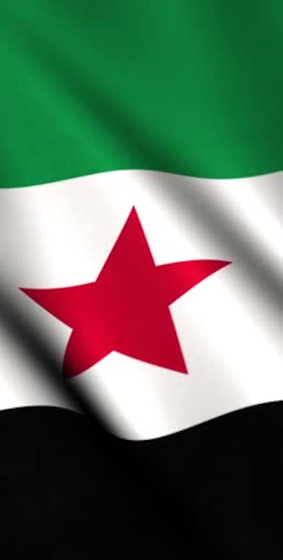 Syrische vlag