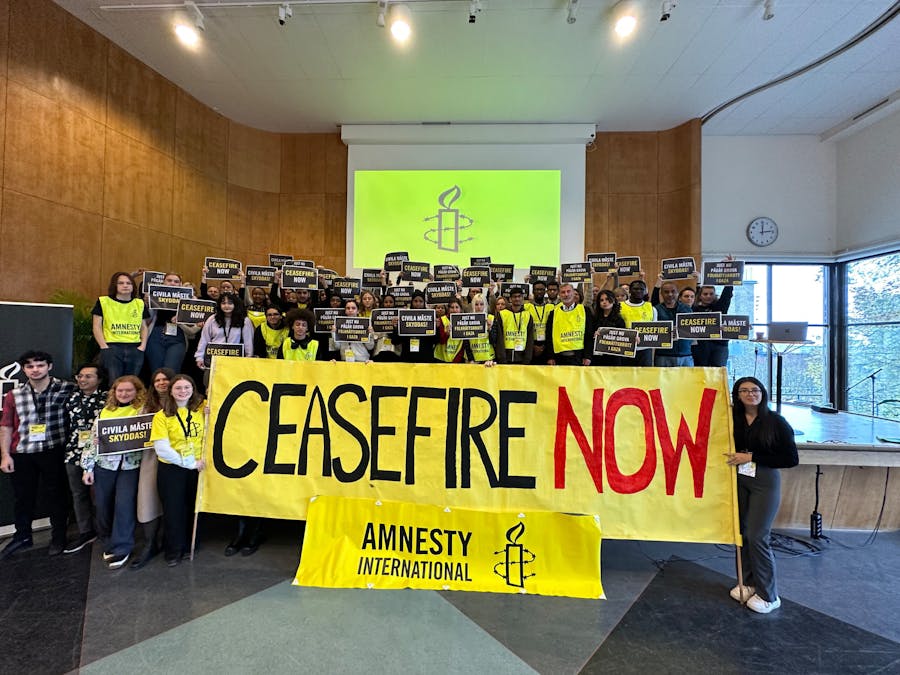 Amnesty Zweden roept op tot een staakt-het-vuren in de Gazastrook in november 2023.