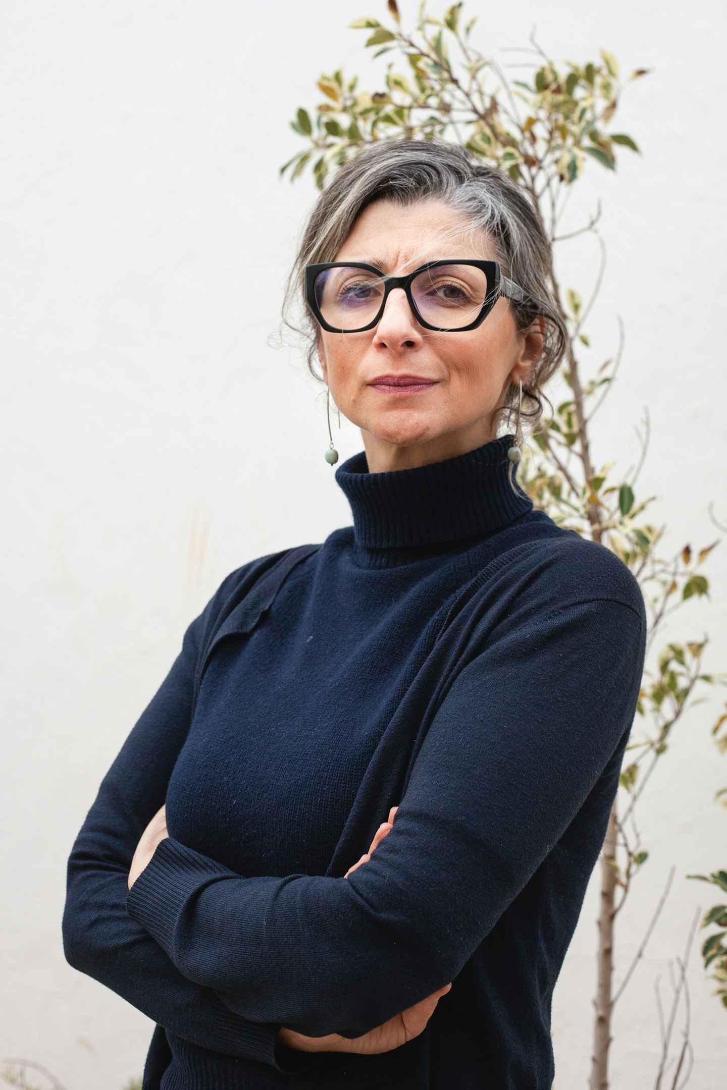 Francesca Albanese, VN-rapporteur voor de Palestijnse gebieden