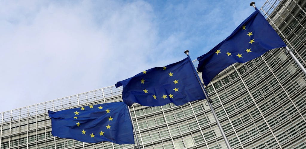 EU vlaggen