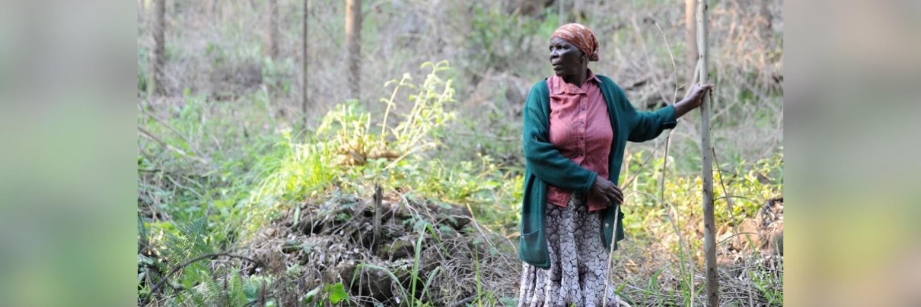 Phumzile Dlamini uit Eswatini