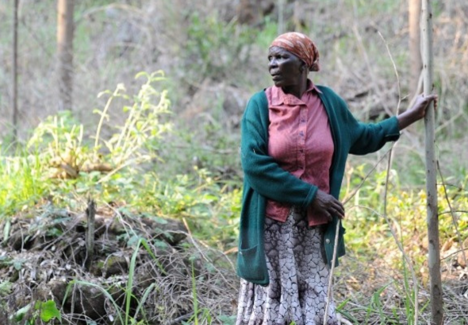 Phumzile Dlamini uit Eswatini